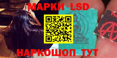 тгк Новозыбков