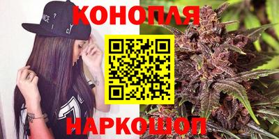 тгк Новозыбков